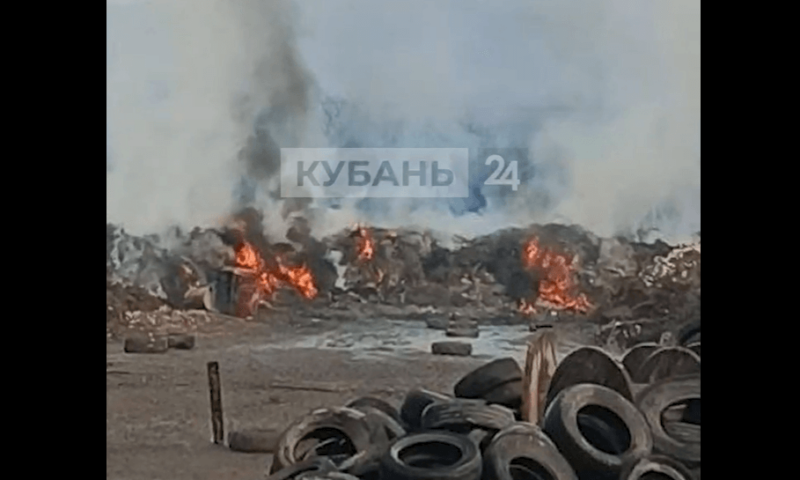    Фото "Кубань 24"