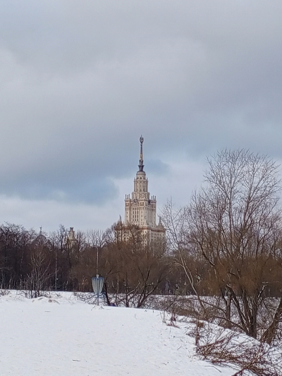 Вон он, красавец.