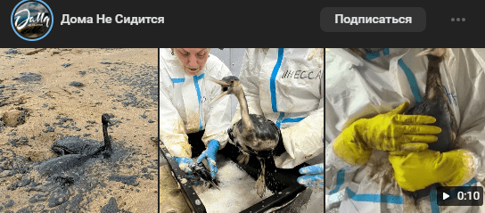    Скриншот из соцсетей