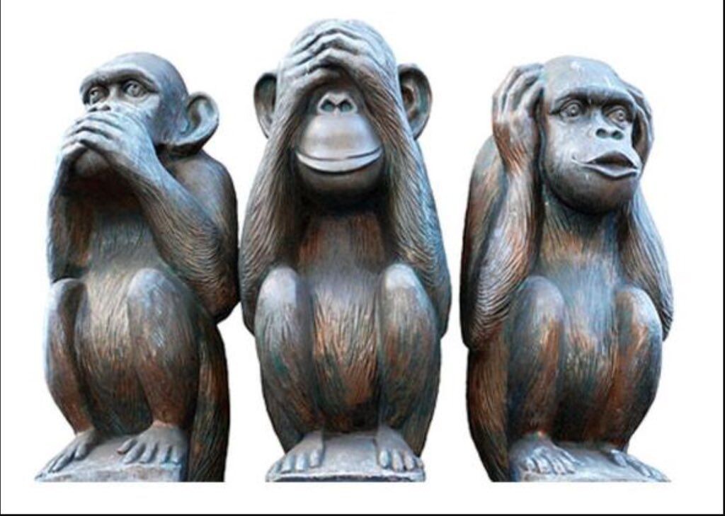 Фото из открытых источников интернета 