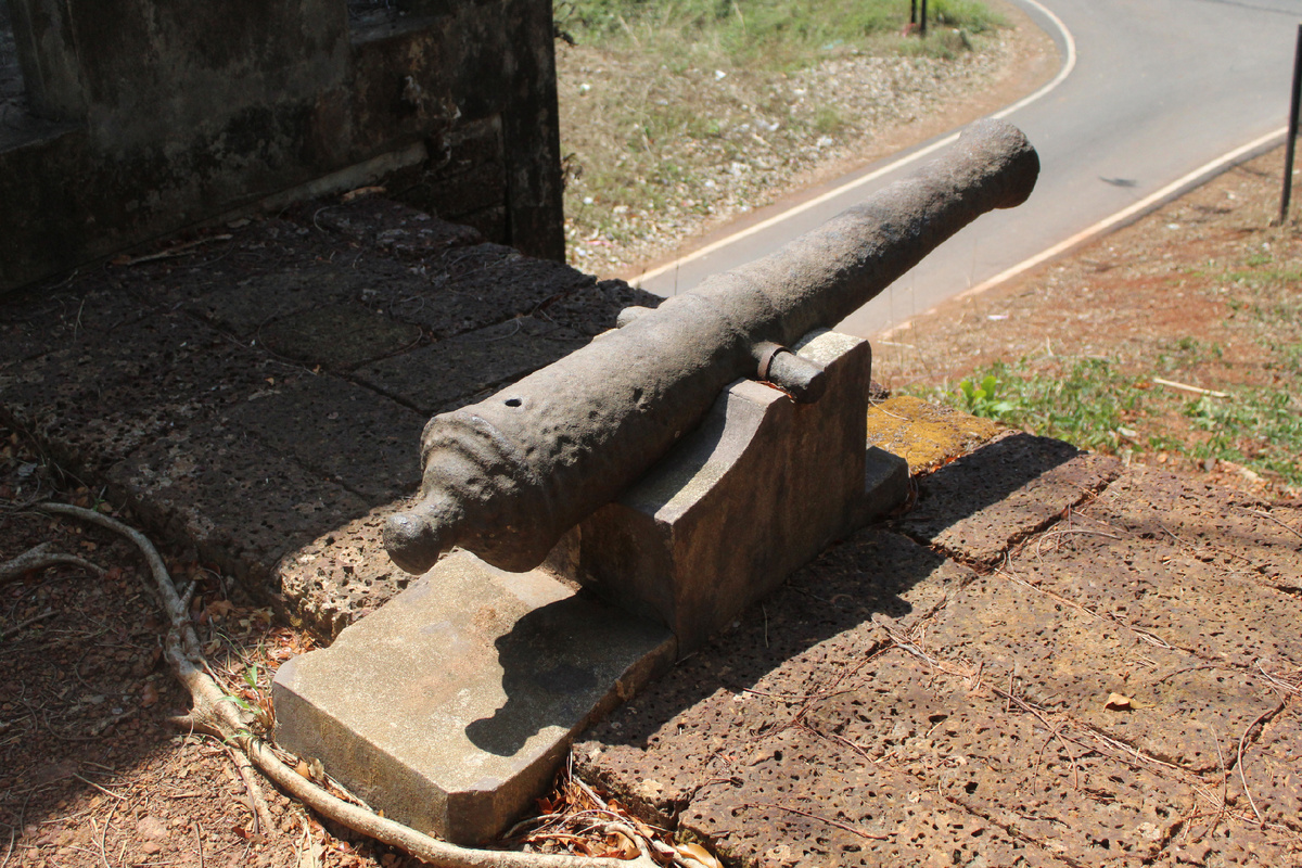 Вот такая пушка