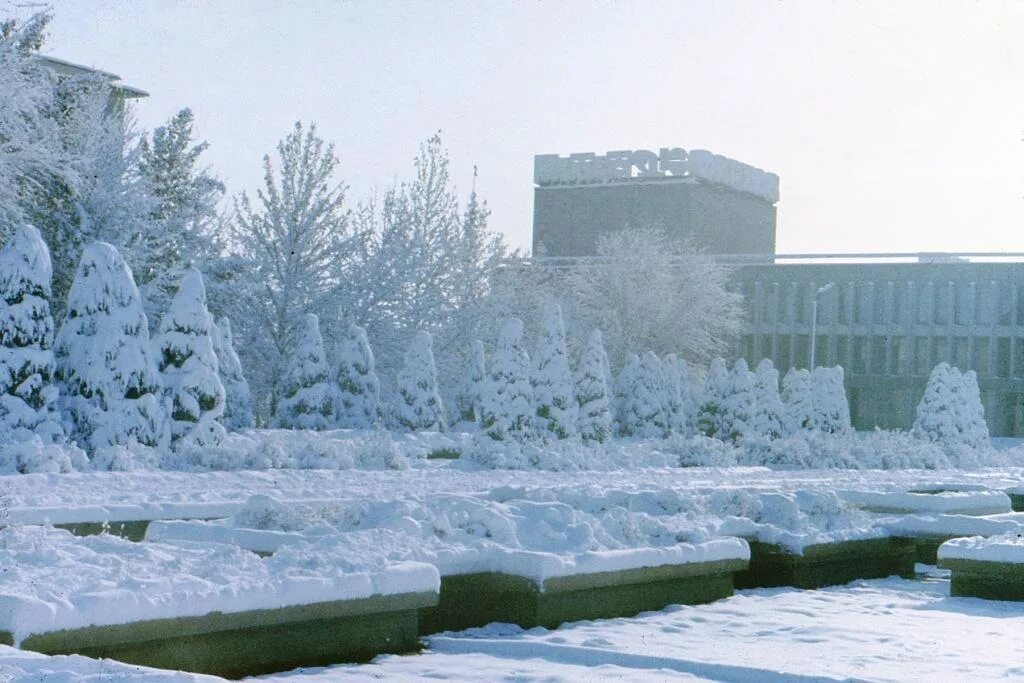 Источник: «Общество», информационный интернет-сайт