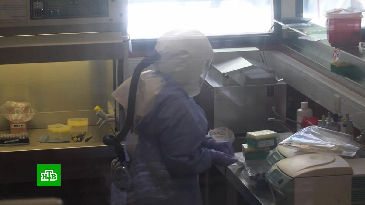    В Китае произошла вспышка метапневмовируса