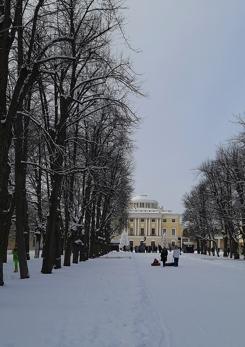 Фото автора