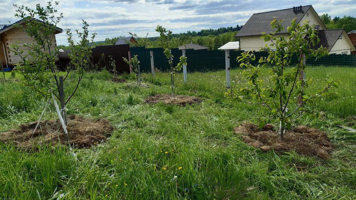 Участок без дорожек