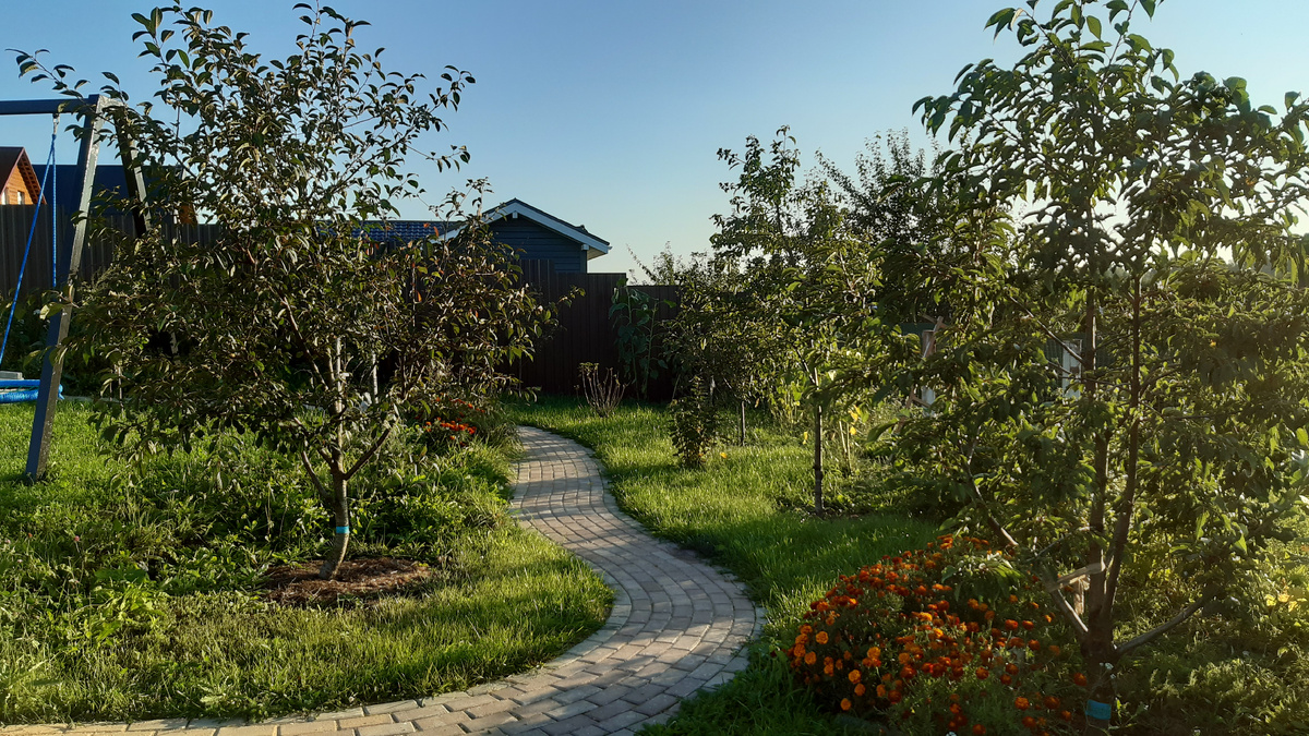 Садовая дорожка