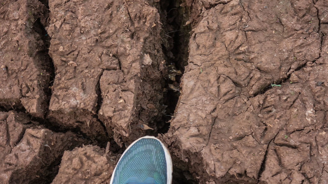    Фото: Dirceu Portugal/Keystone Press Agency/Globallookpress