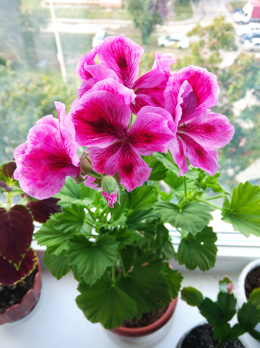 Берегите свою любовь и не позволяйте кому-то её погасить