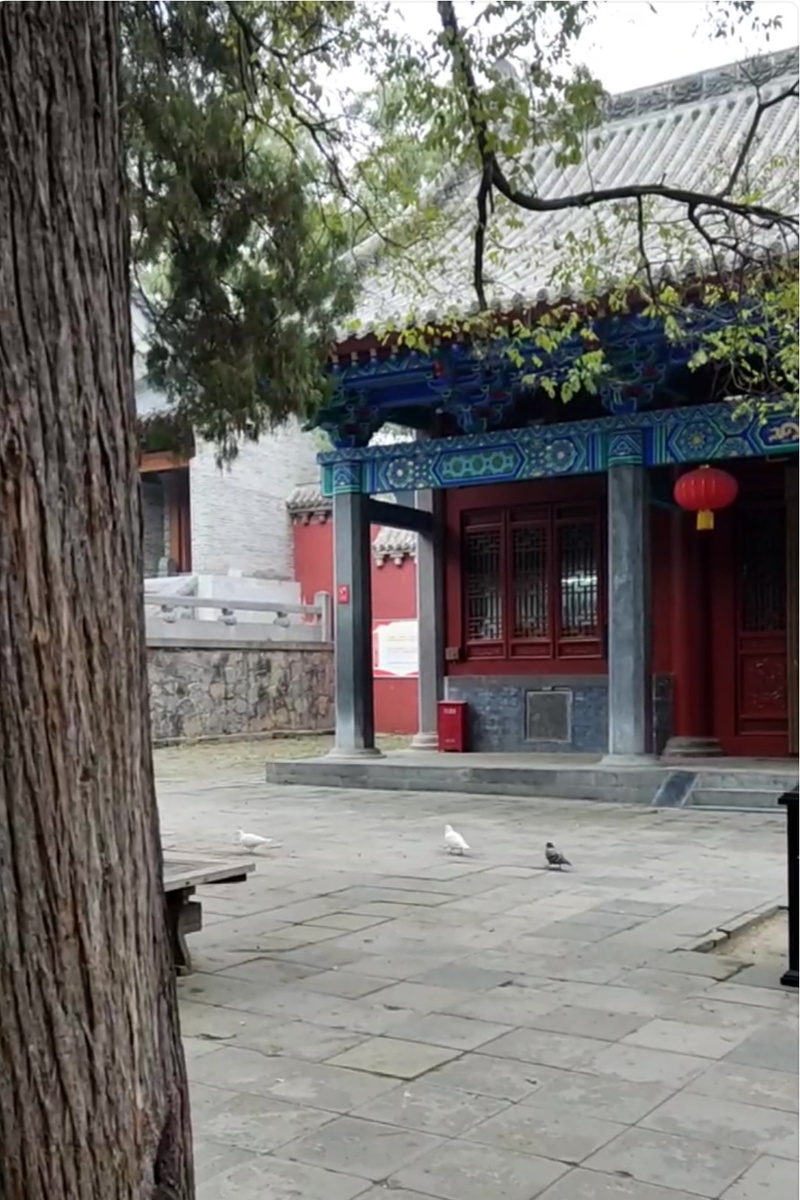 На территории Шаолиня