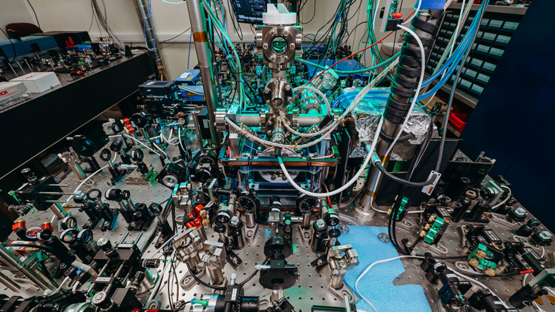 Фото: пресс-служба МГУ