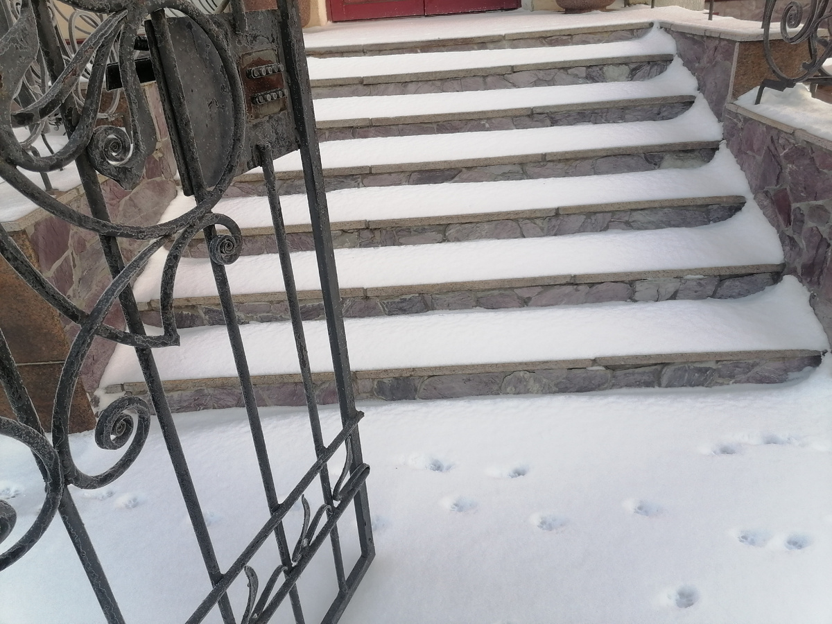 Центральное крыльцо