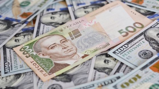    Нацбанк Украины поднял курс доллара к гривне до исторического максимума Богдан Герцен