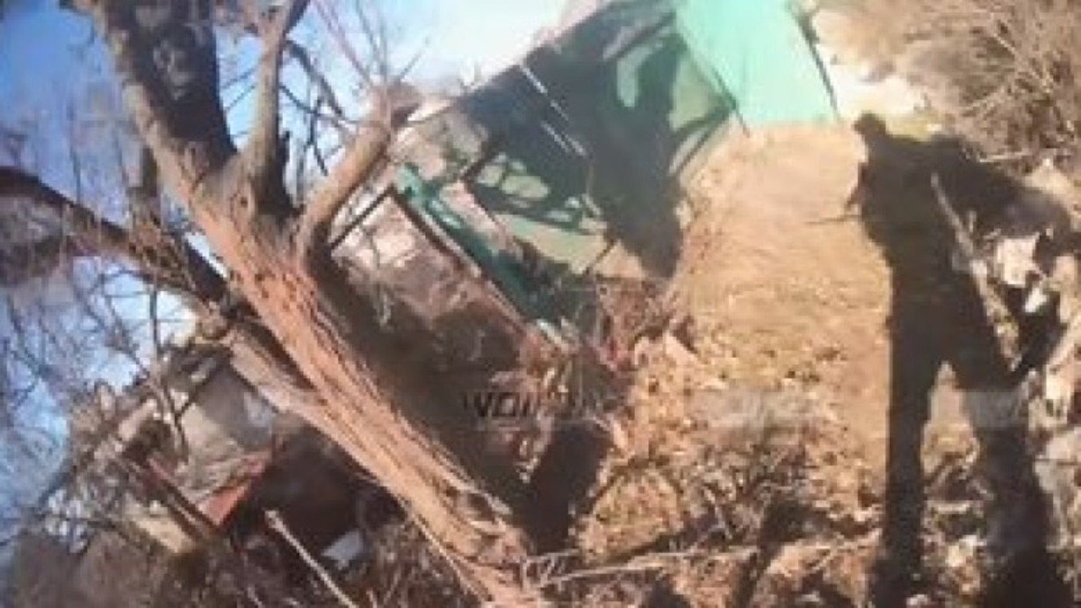 Вход во двор, где всё произошло, снимает камера "весеушника".  фото: картинки яндекса.