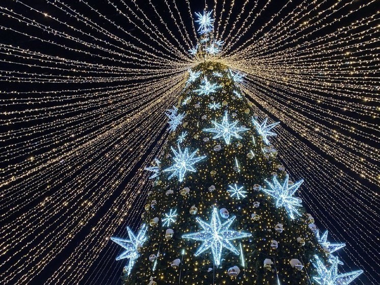     Мурманчане встретились с коллекционером новогодних открыток. Фото: МК в Мурманске.