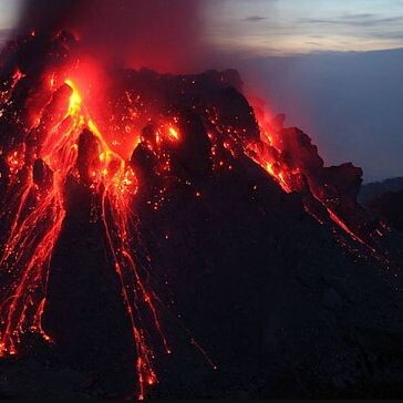 Фото из интернета 