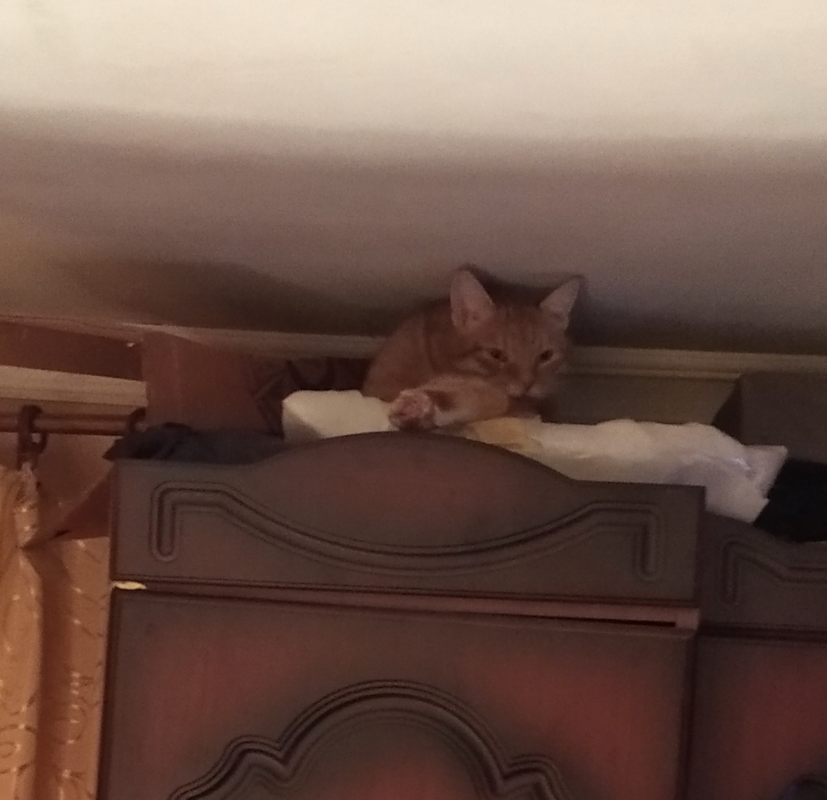 личное фото