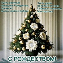 Фото из свободного доступа интернета