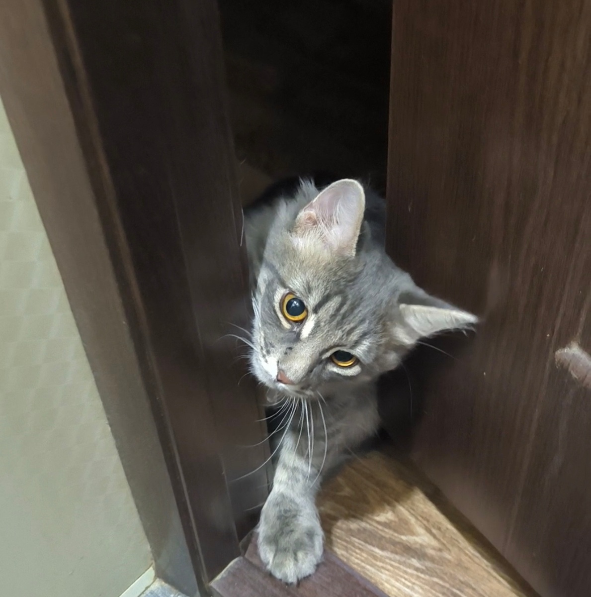 Всё фотографии в статье авторские