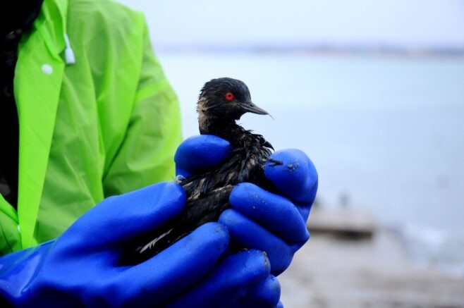    Фото: Югополис