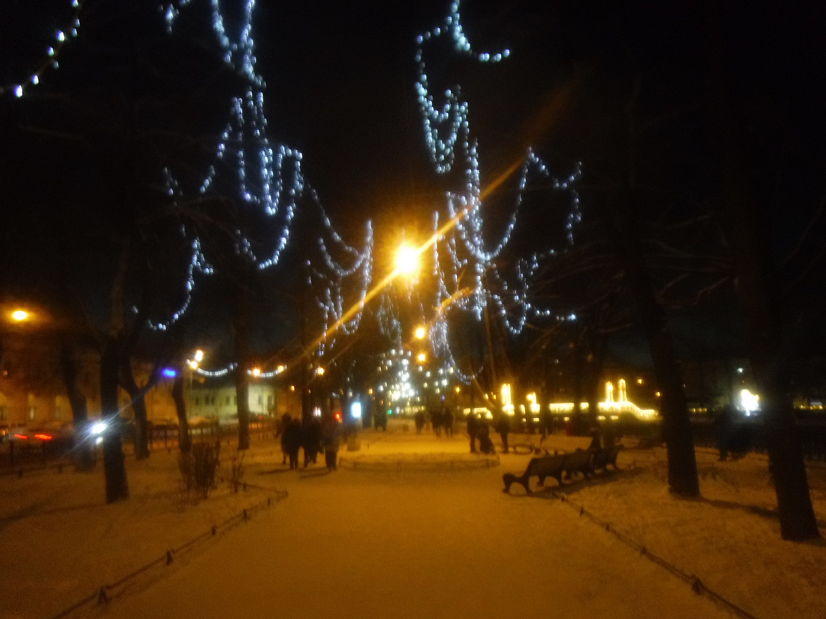 Так урашены лиственные древья под Новый год