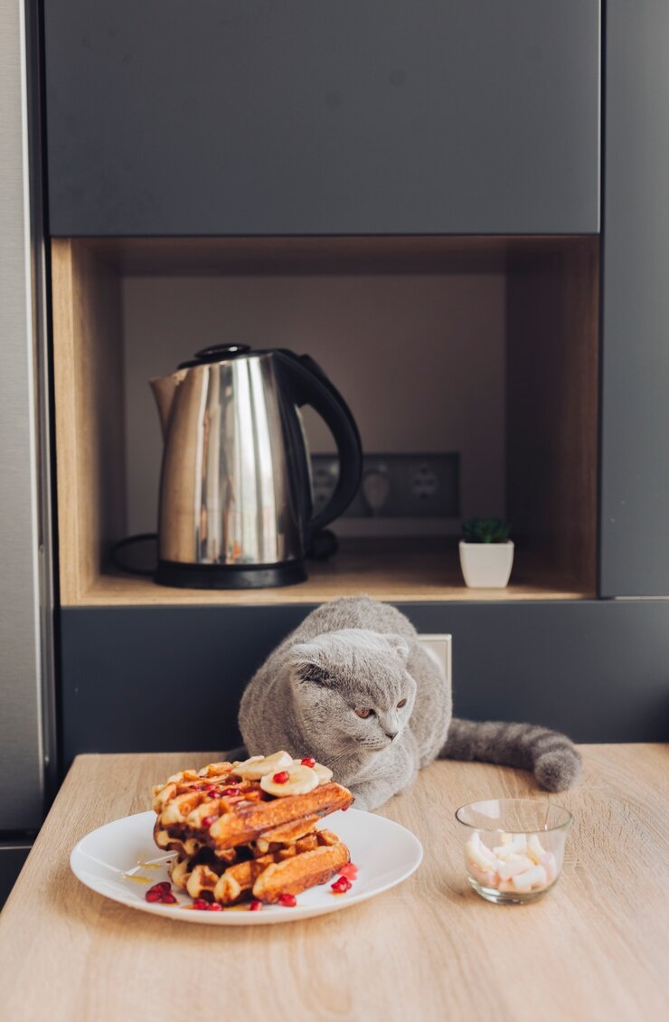 Количество розеток на кухне зависит от набора используемой бытовой техники