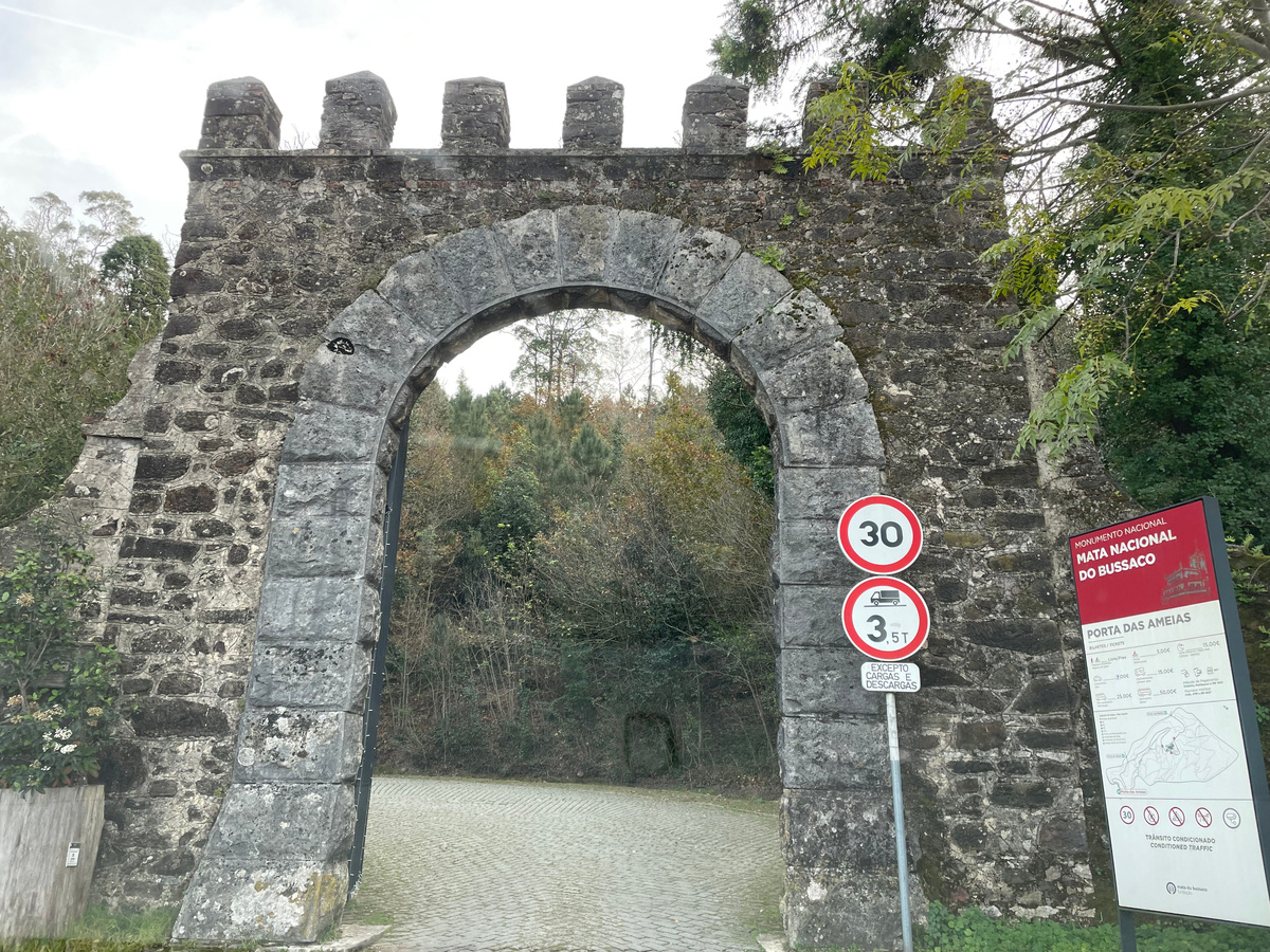 А здесь пишут Bussaco