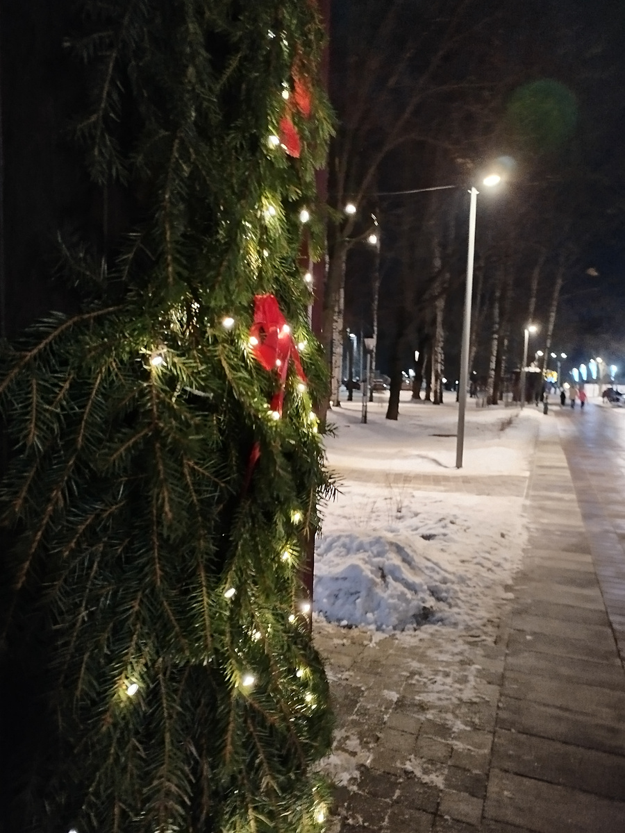 В парке Ветеранов Вологды/фото автора