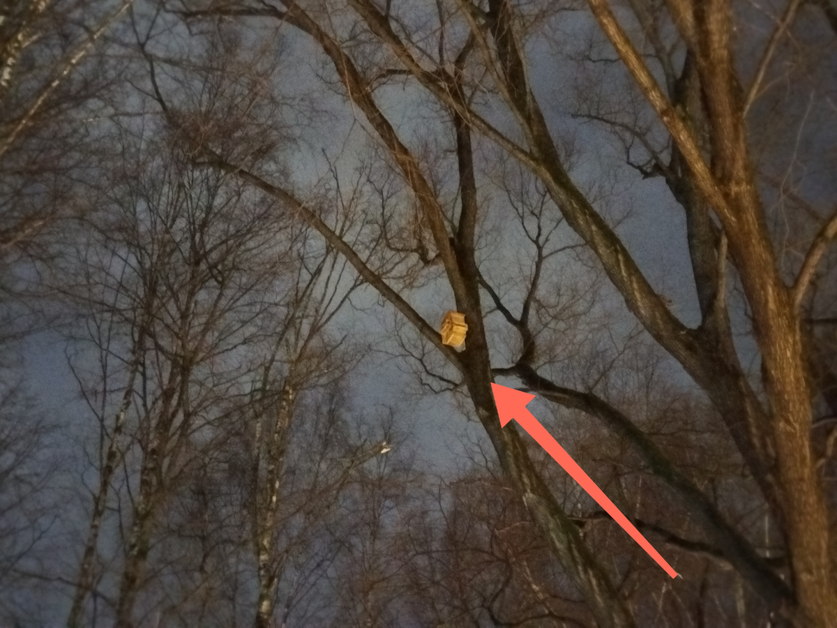 Домик/фото автора