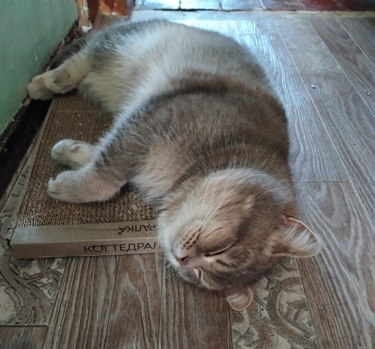 Сеня отдыхает. Не на пороге.