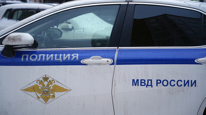    Фото: ИЗВЕСТИЯ/Павел Волков; 5-tv.ru