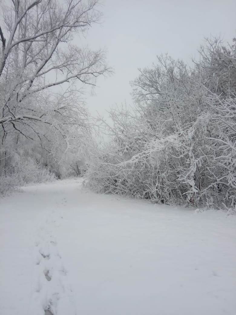 Фото моих друзей