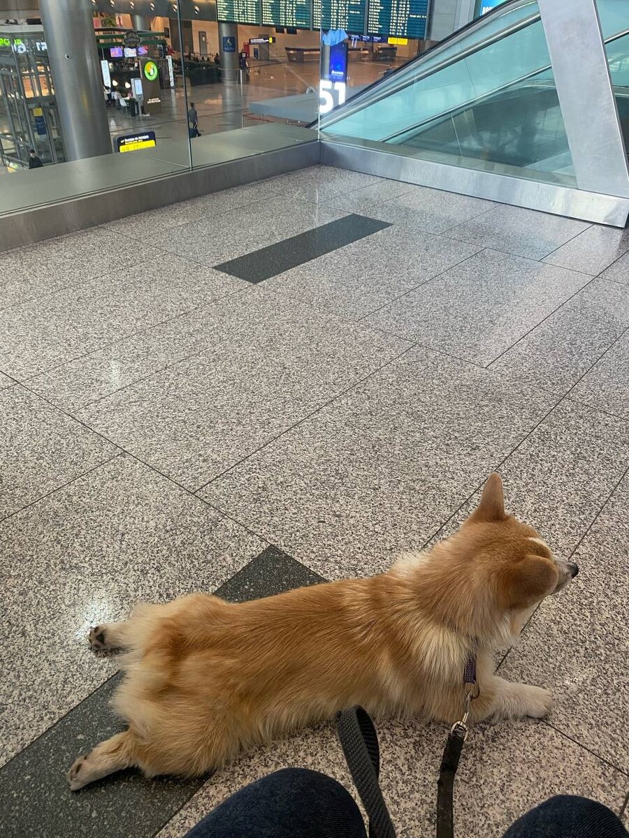 Фото из личного архива