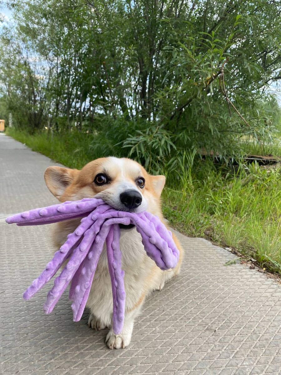 Фото из личного архива