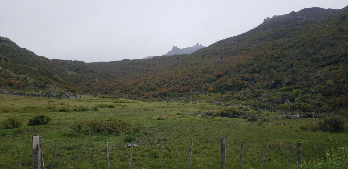 Туман в горах