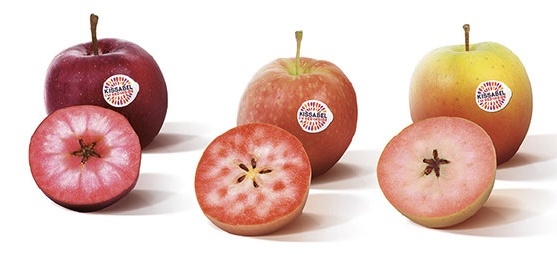 Красное трио