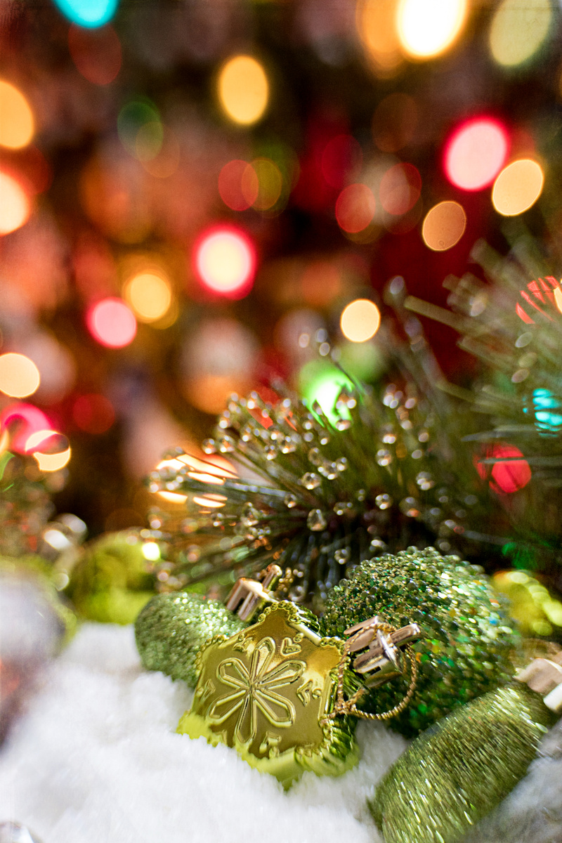 Photo by Travel Photographer on StockSnap