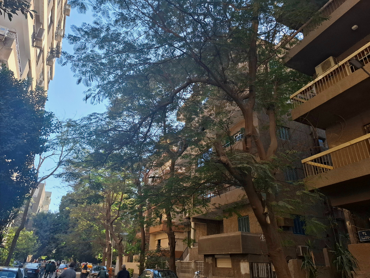 Наш райончик в Каире