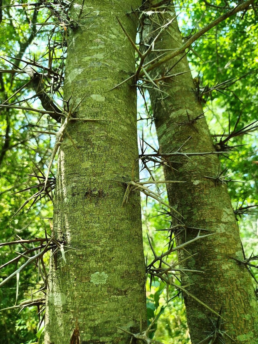 Фото автора и других участников