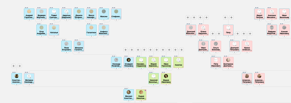 MyHeritage дерево