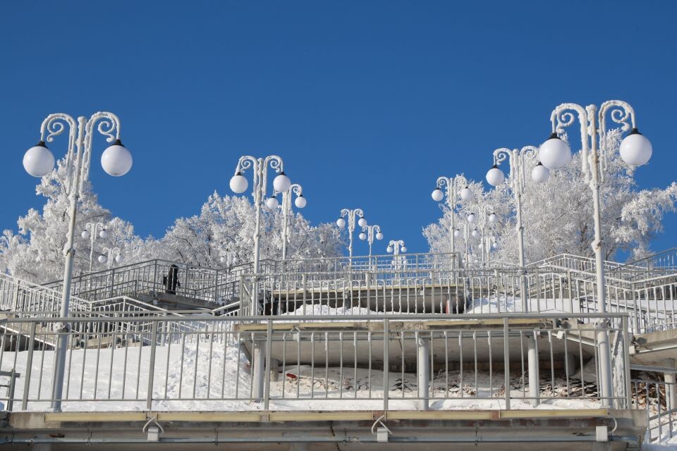    Барнаул. Зима. Иней. Источник: Олег Укладов