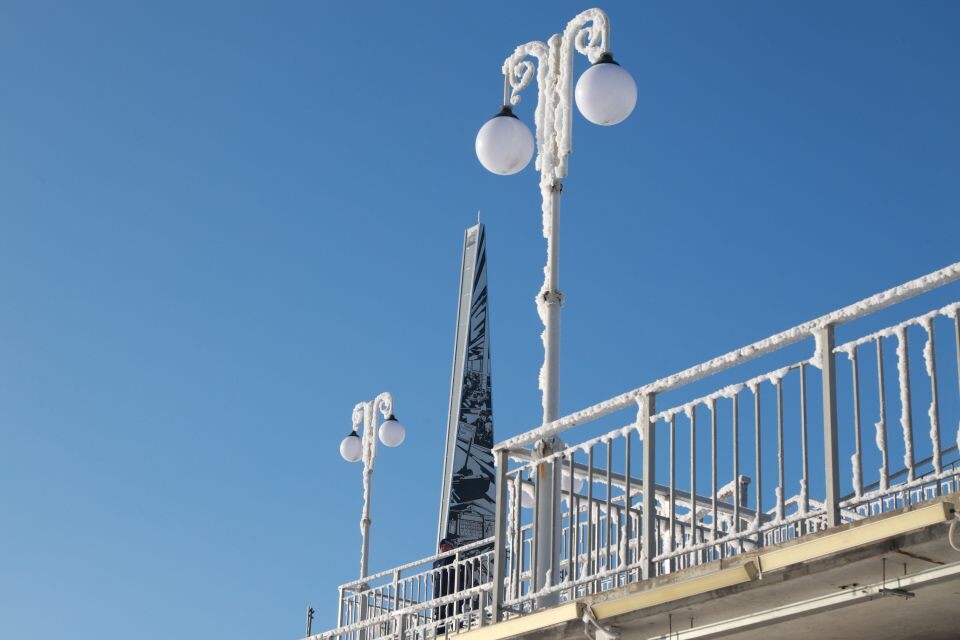    Барнаул. Зима. Иней. Источник: Олег Укладов