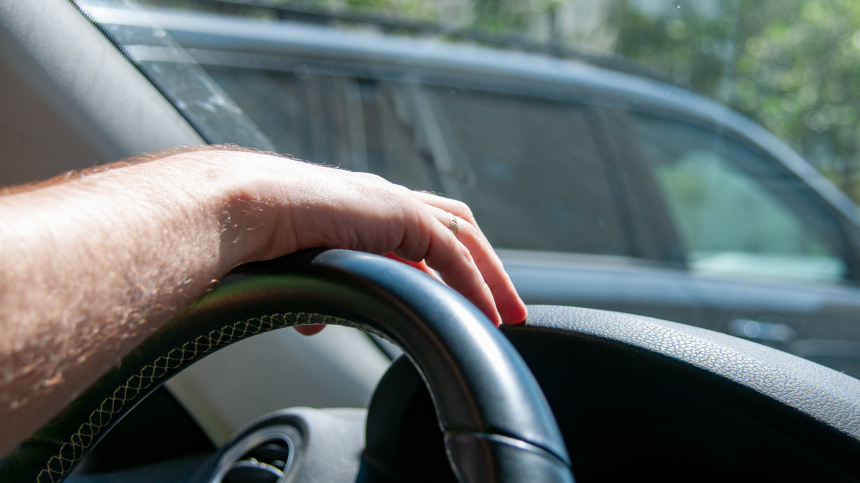    Фото: www.globallookpress.com/Svetlana Vozmilova