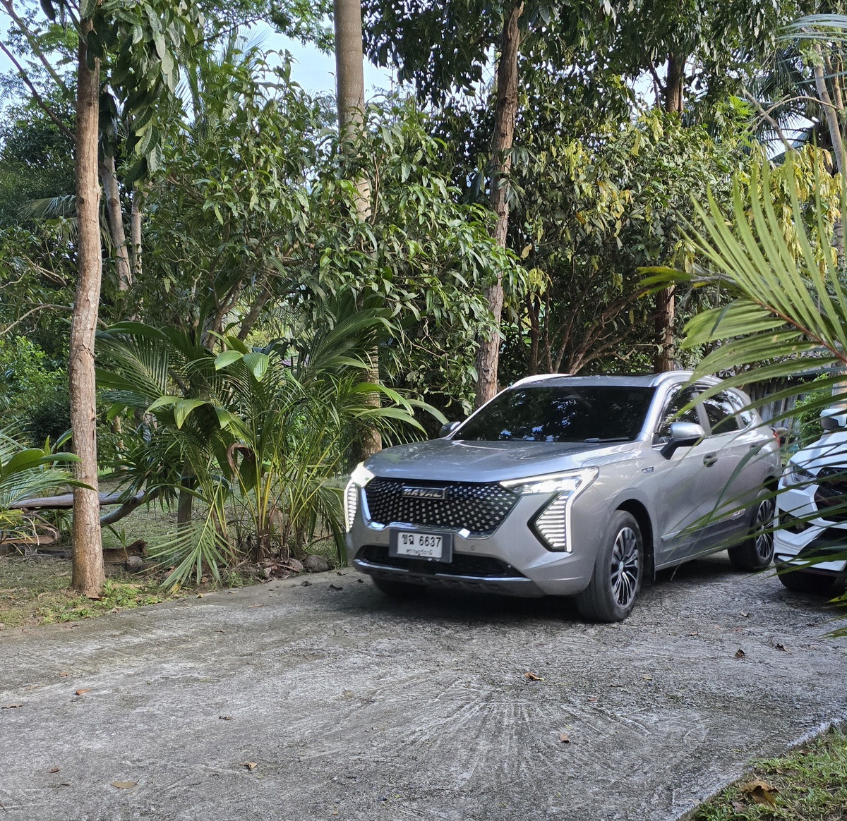 Наше вчерашнее такси)) Джолионов на острове мало, а при условии, что из Шереметьево меня встретит мой красненький Jolion, это фото действительно забавное)