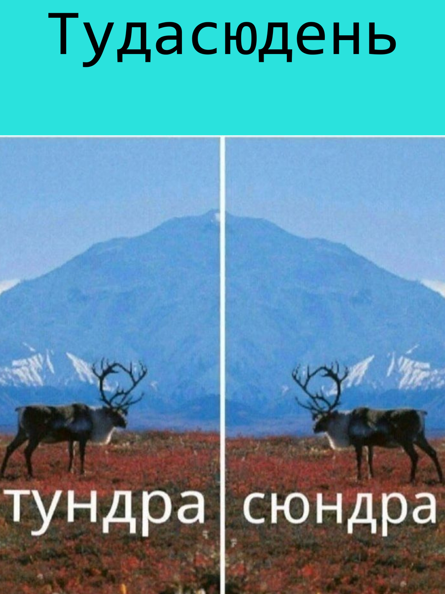 Смайлики улыбки картинки