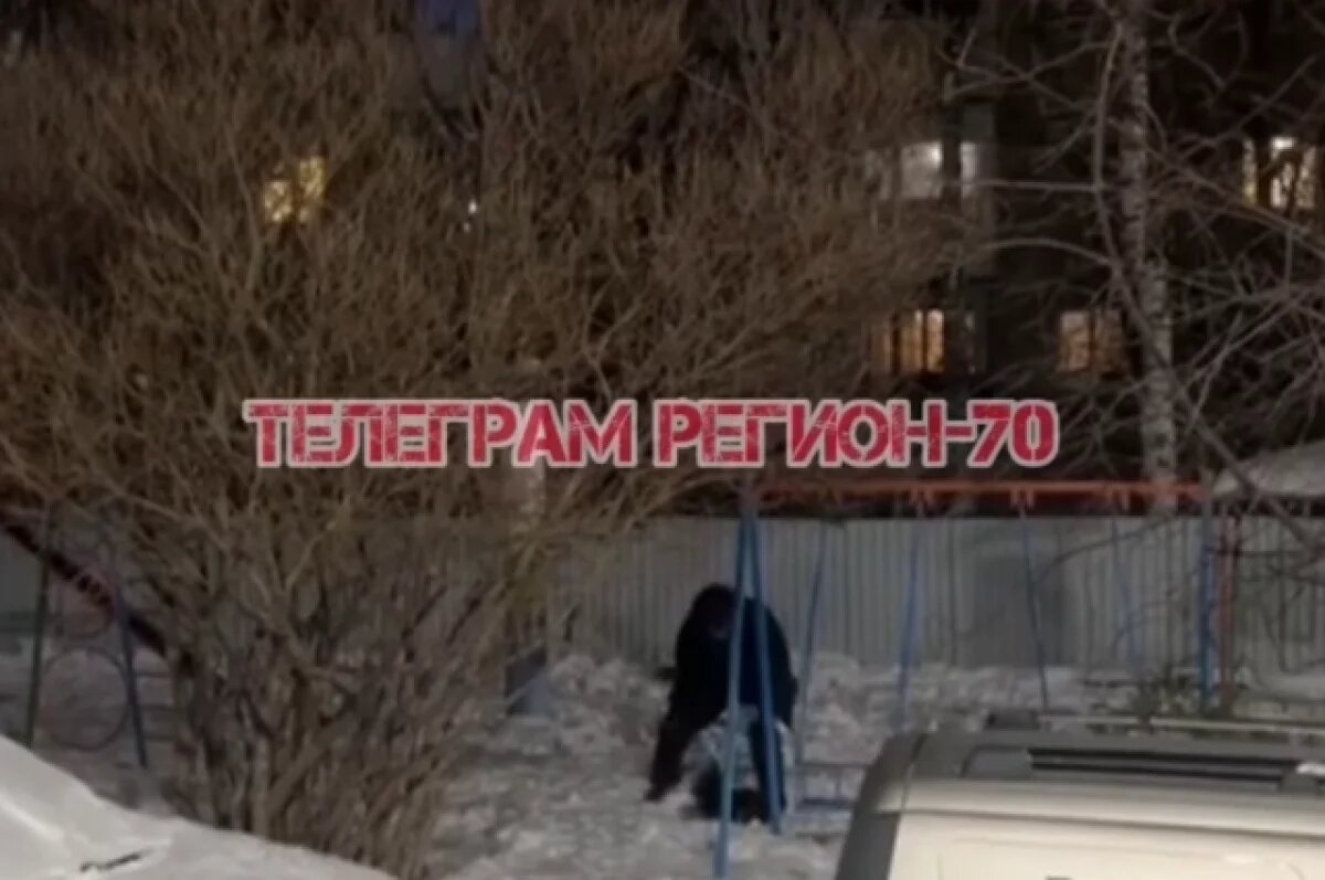    Бросал об землю и душил: томича застали за жестоким обращением с собакой