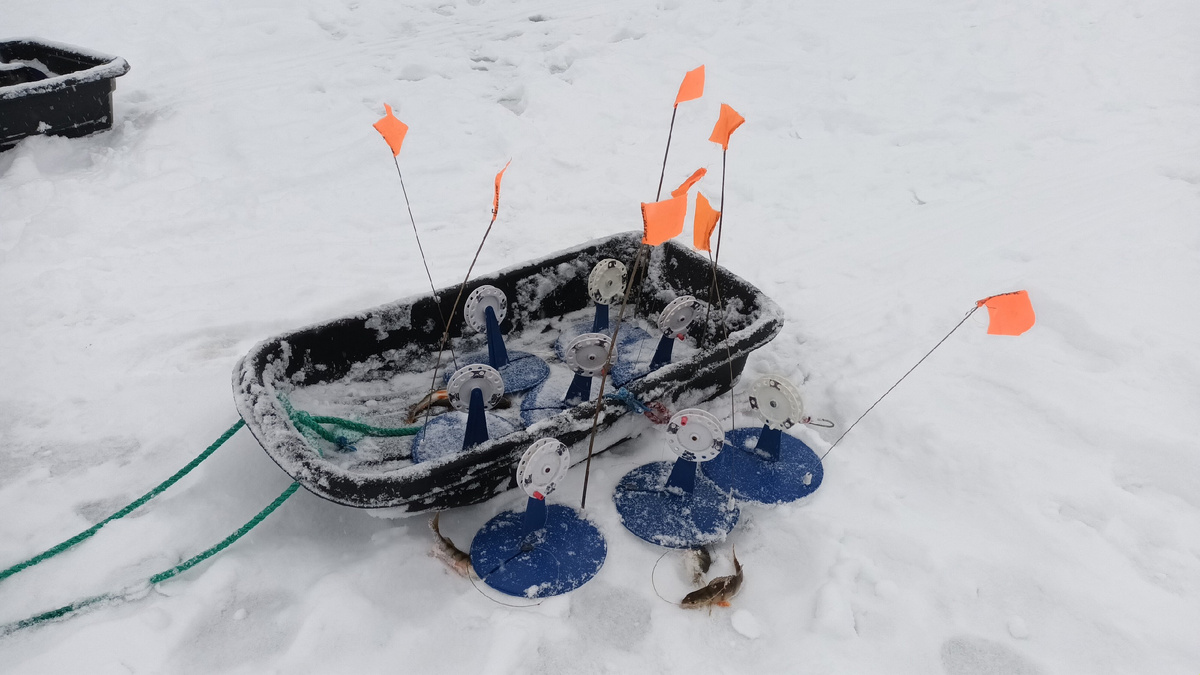 жерлицы на судака и щуку. фото рыбалка в поволжье дзен канал