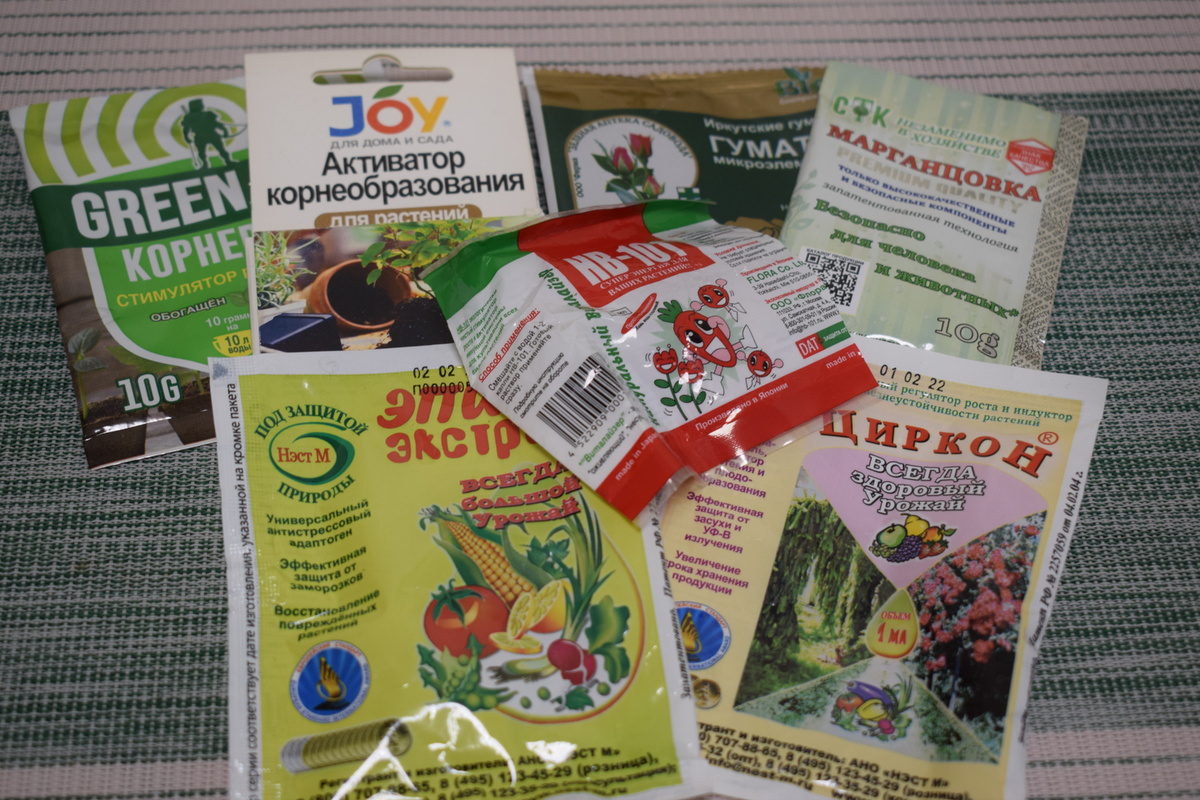 вот так много у меня помощников(фото автора)