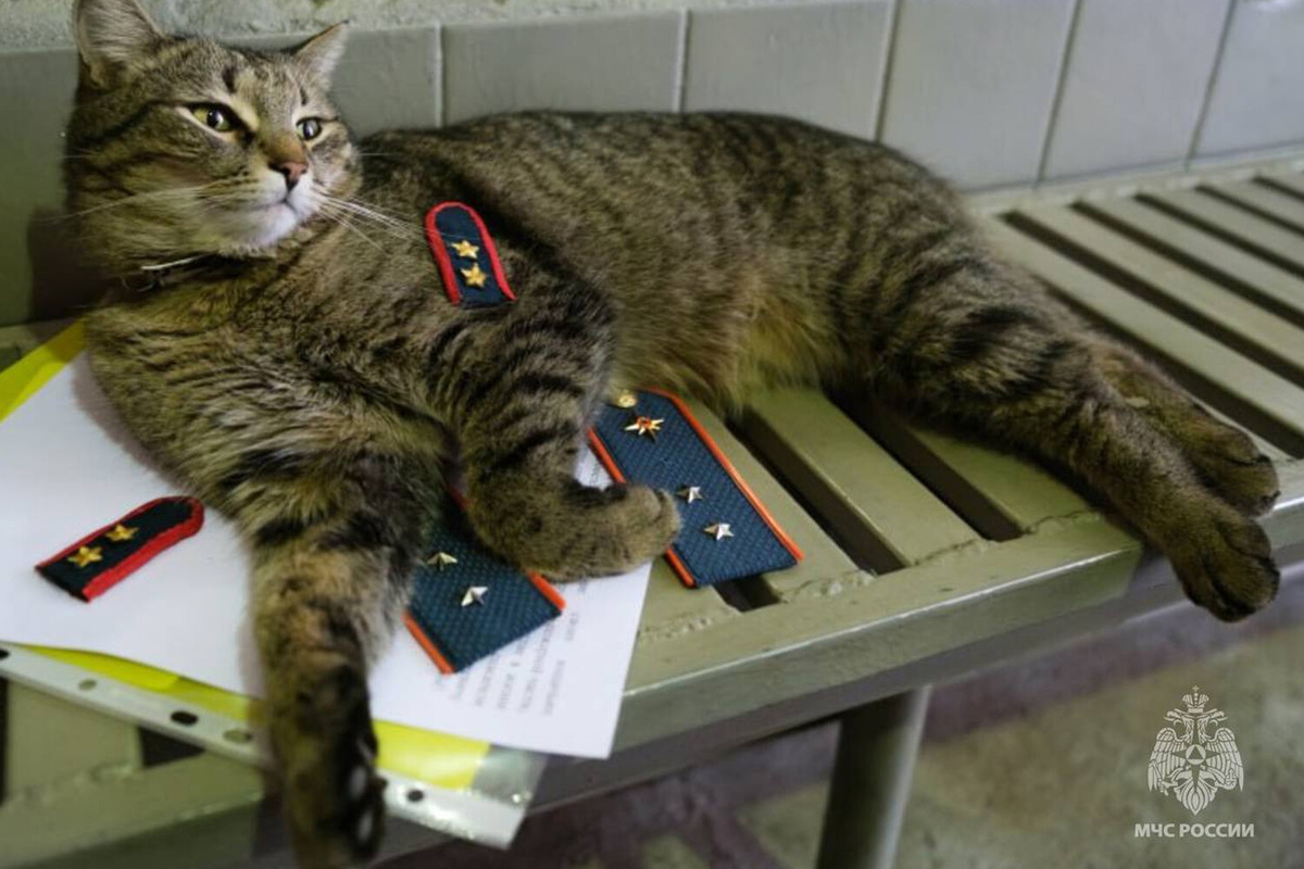    Фото: gazeta.ru Георгий