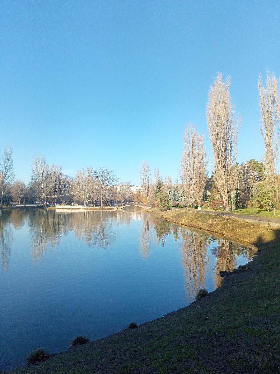 Фото автора.