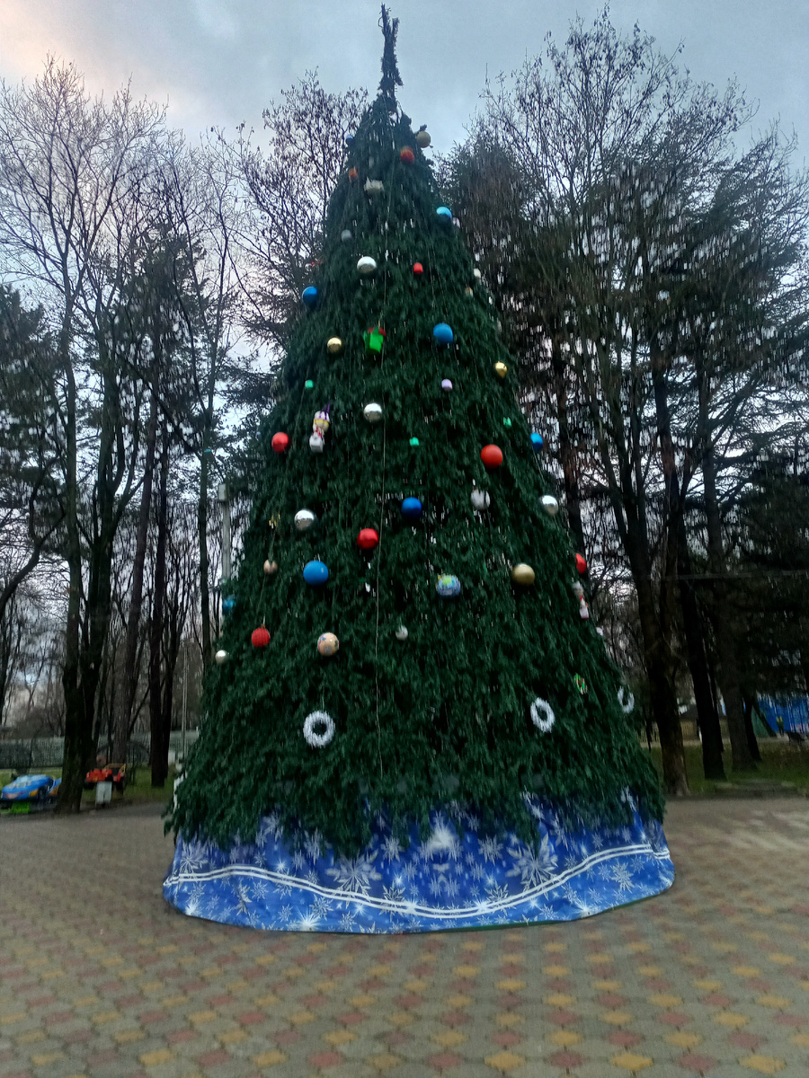 Фото автора.